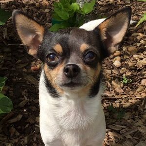 Meet your Posher, Traci